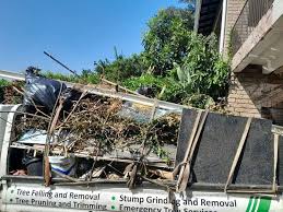 Best Residential Junk Removal  in Belle Plaine, KS